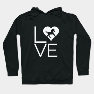 Love Mini Horses Hoodie